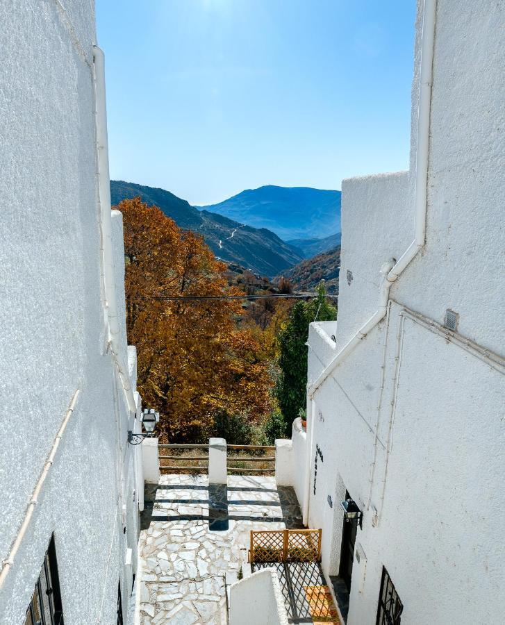 Casa Consuelo Διαμέρισμα Capileira Εξωτερικό φωτογραφία